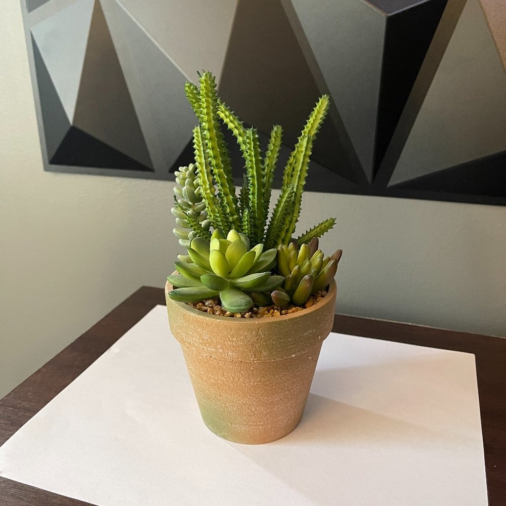 Succulent Plant Pot Combo w/ Tiny Pebbles | Office Decor | Home Decor